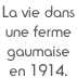 La vie dans  une ferme gaumaise en 1914.