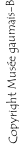 Copyright Musée gaumais-B